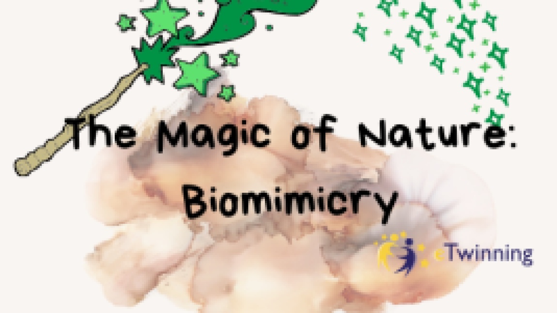 Doğanın Sihirli Dünyası: Biomimicry ve Melody of STEAM Projeleri Yola Çıktı